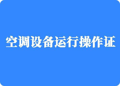 男人和女人一起操逼。制冷工证