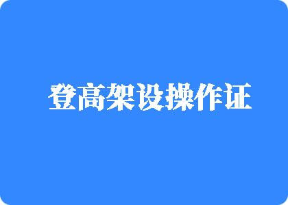 91色欲影视天天综合91综合网登高架设操作证